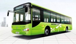 嘉兴最新公交爆料新闻