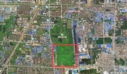 临沂都市爆料最新消息,揭秘神秘事件背后的真相