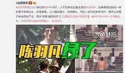 圆仔被爆料出轨视频,真相与争议